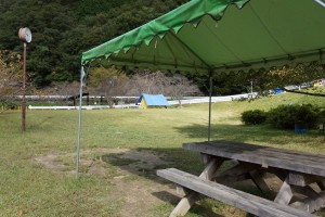 知明湖キャンプ場 テントサイト (2)