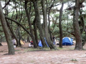 慶野松原キャンプ場